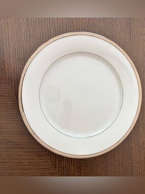 Noritake Renwick Platinum Bone China Dinner Plate / Platinum Trim